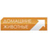 Домашние животные